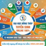Học Cử Nhân Online Đại Học Đồng Tháp