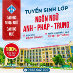 Tuyển Sinh Cử Nhân Ngôn Ngữ Anh Online, Trung, Pháp (Văn Bằng 2)